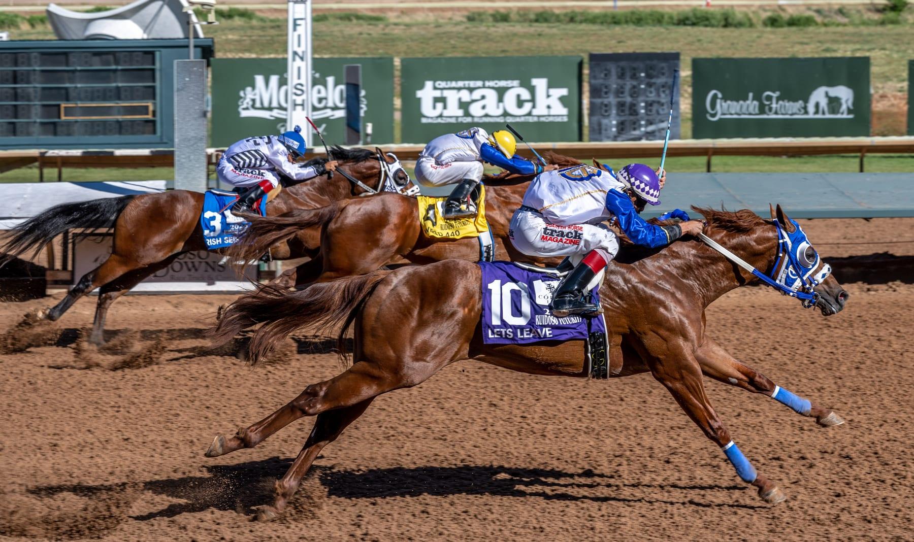 Lets Leave, sorrel racing stallion at Solo Select Horses — photo 1
