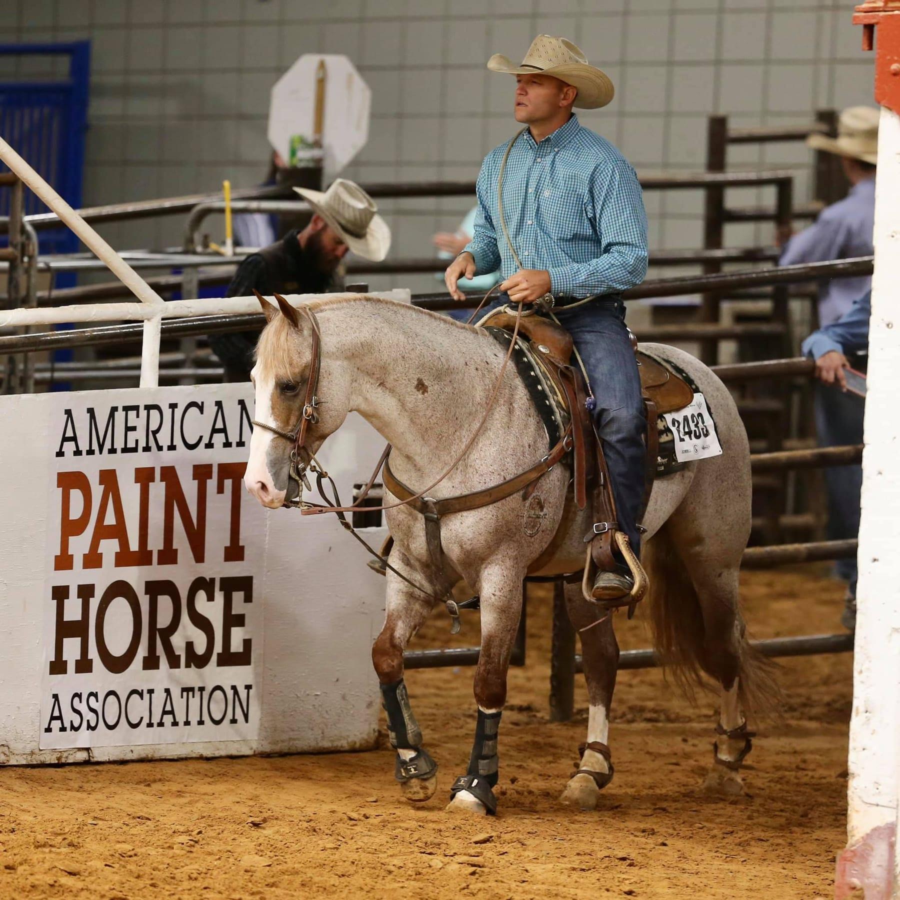 Metallic Cattack, red roan cutting stallion at Solo Select Horses — photo 1