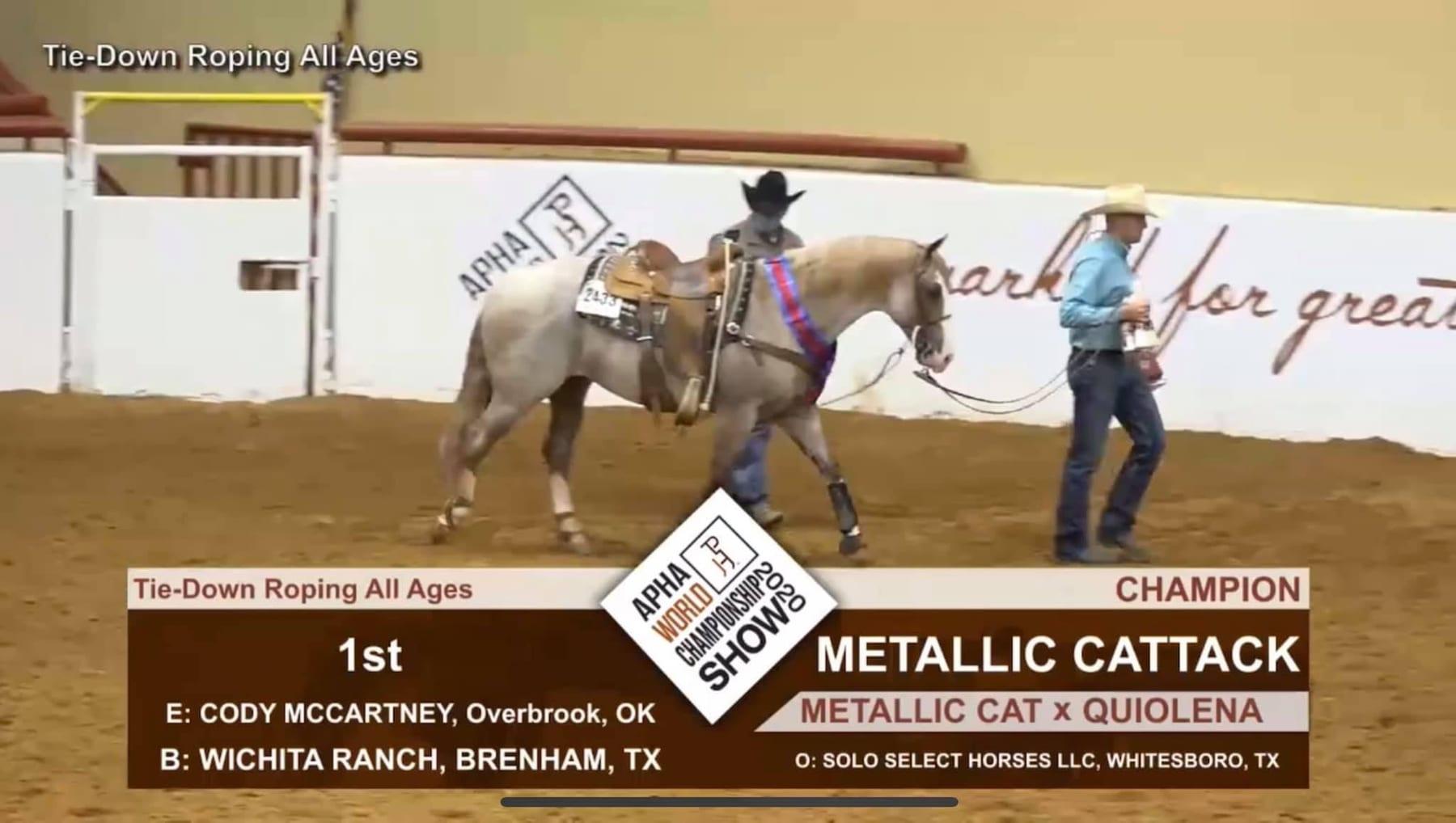 Metallic Cattack, red roan cutting stallion at Solo Select Horses — photo 2