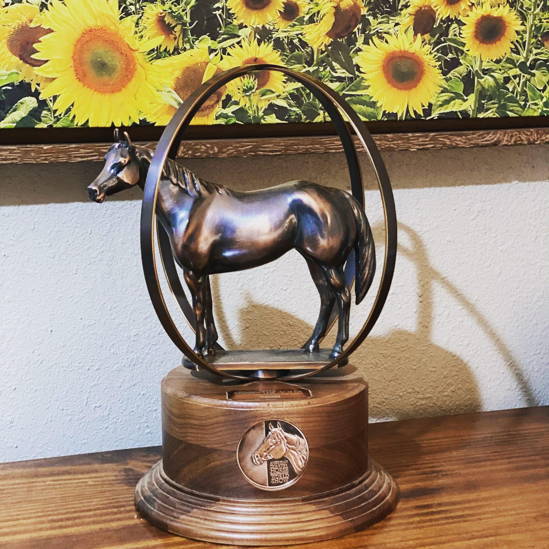 Metallic Cattack, red roan cutting stallion at Solo Select Horses — photo 5
