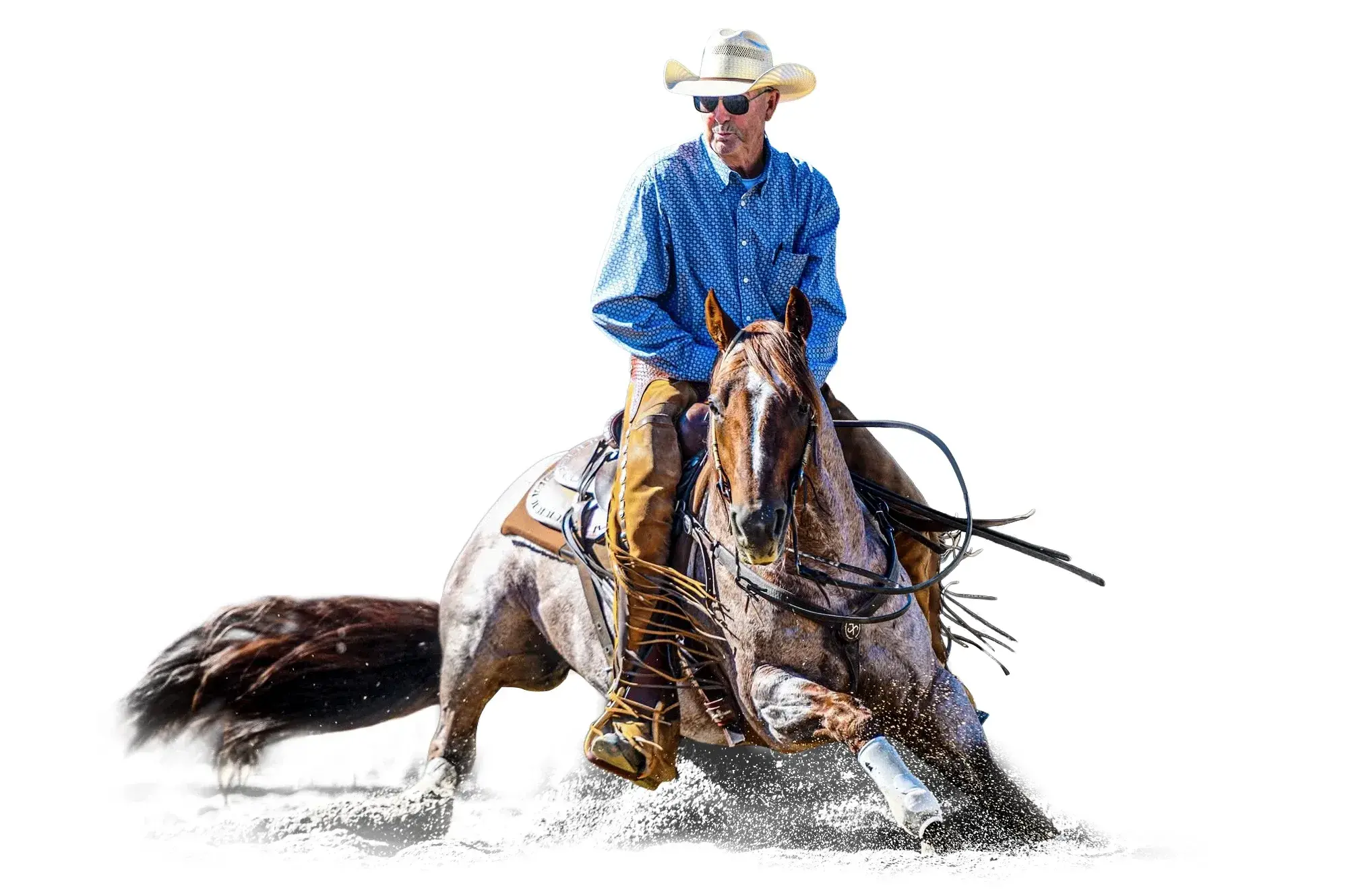 Metallics MVP, a 2015 red roan cutting breeding stallion, by Metallic Cat standing at Solo Select Horses