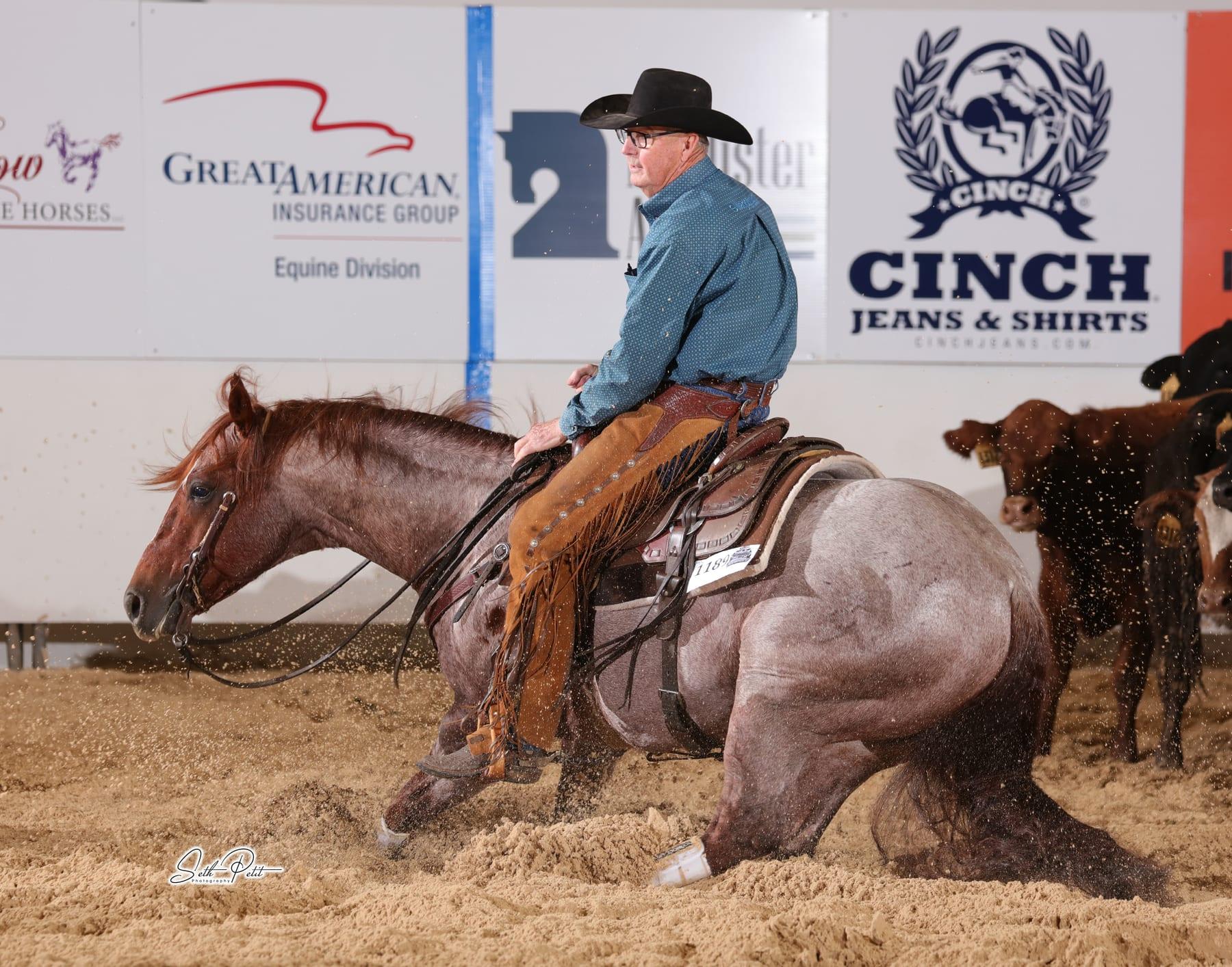 Metallics MVP, red roan cutting stallion at Solo Select Horses — photo 1