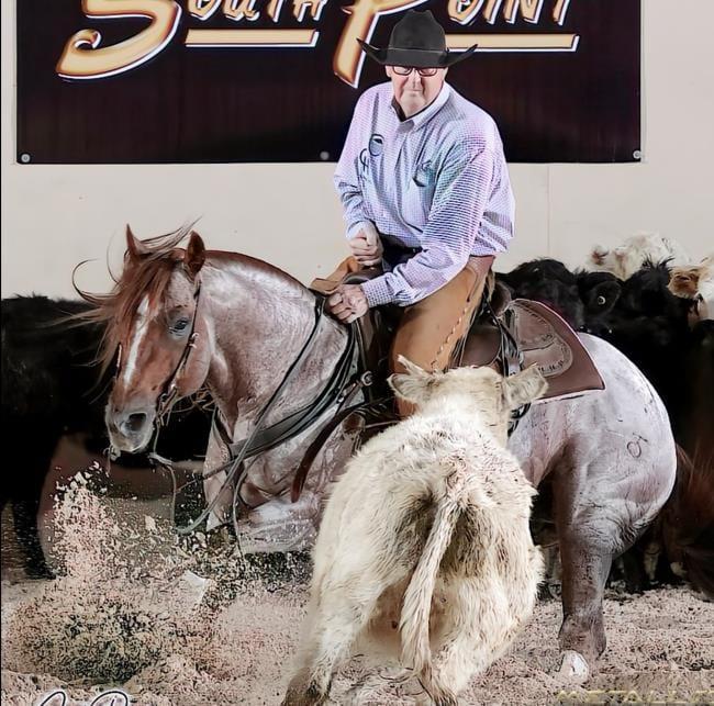 Metallics MVP, red roan cutting stallion at Solo Select Horses — photo 8