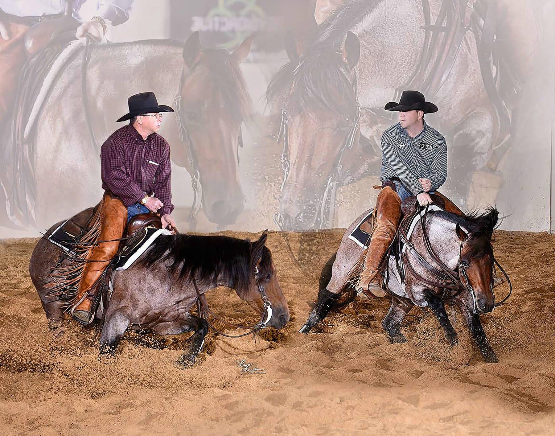Meteles Cat, bay roan cutting stallion at Solo Select Horses — photo 1