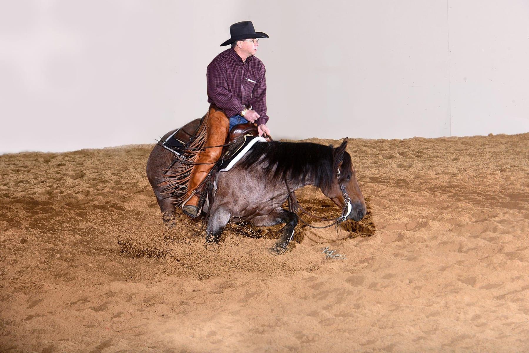 Meteles Cat, bay roan cutting stallion at Solo Select Horses — photo 3