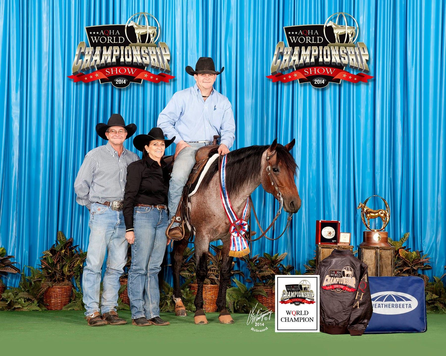 Meteles Cat, bay roan cutting stallion at Solo Select Horses — photo 6