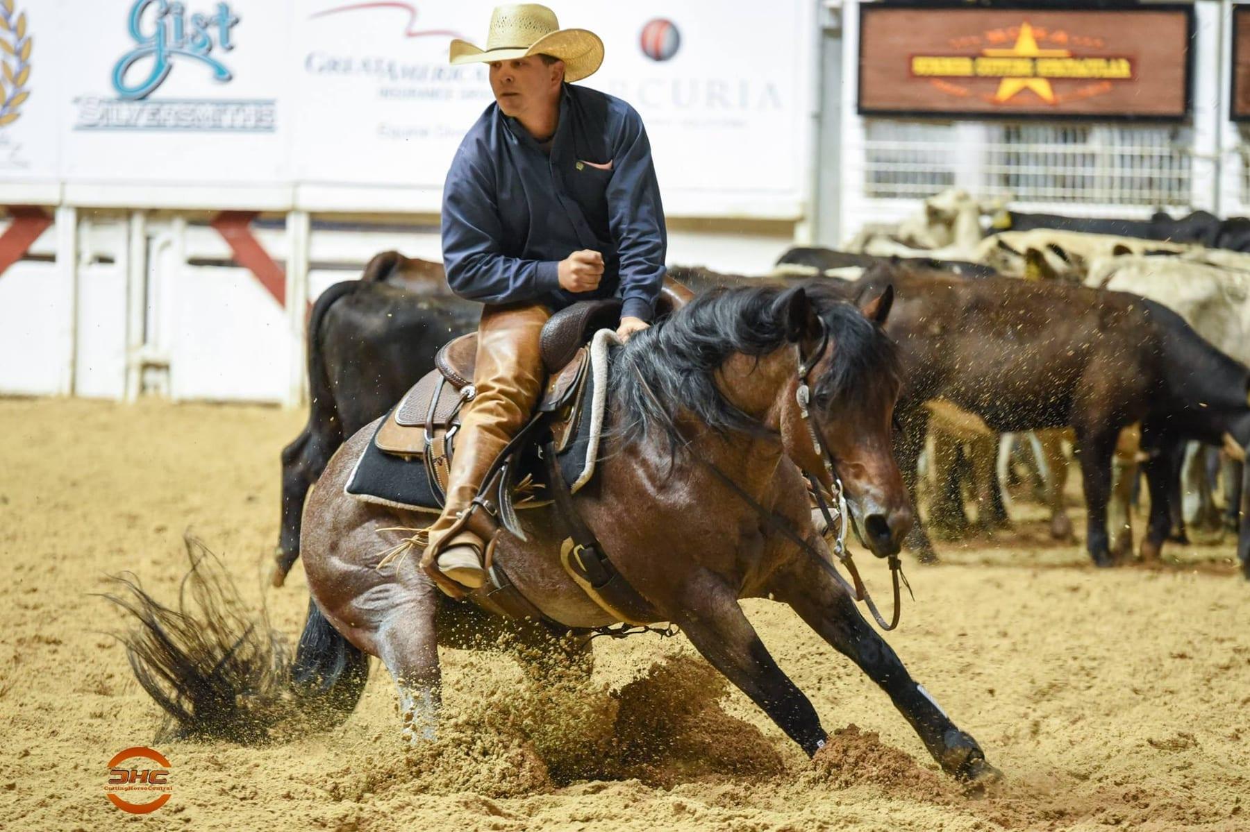 Meteles Cat, bay roan cutting stallion at Solo Select Horses — photo 7