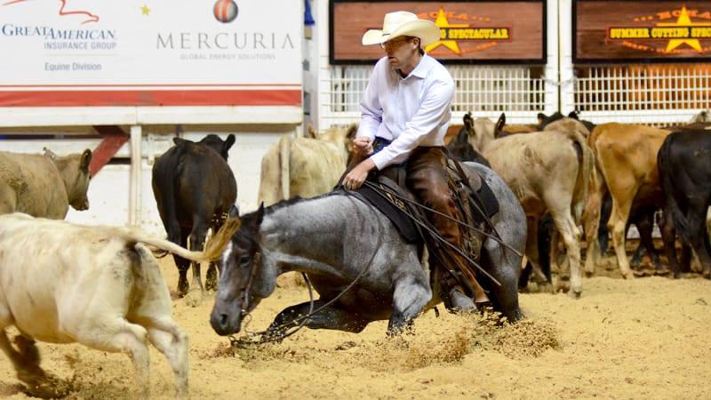 Once In A Blu Boon, brown roan cutting stallion at Solo Select Horses — photo 1