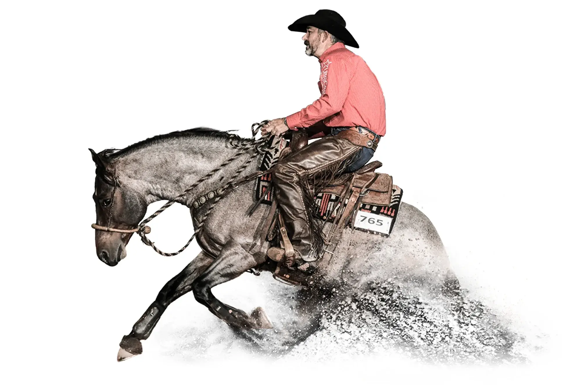 Plain Catty, a 2014 bay roan reined cow horse breeding stallion, by Bet Hesa Cat standing at Solo Select Horses