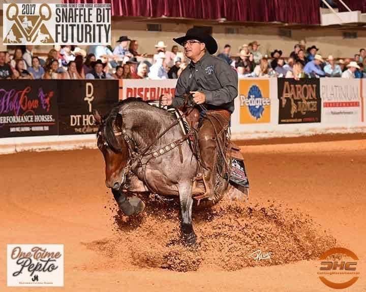 Plain Catty, bay roan reined cow horse stallion at Solo Select Horses — photo 1