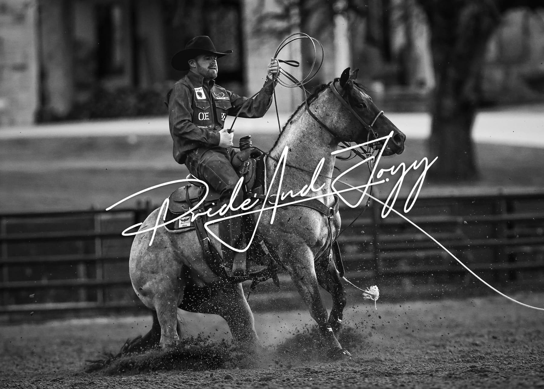 Pride And Joyy, bay roan roping stallion at Solo Select Horses — photo 7