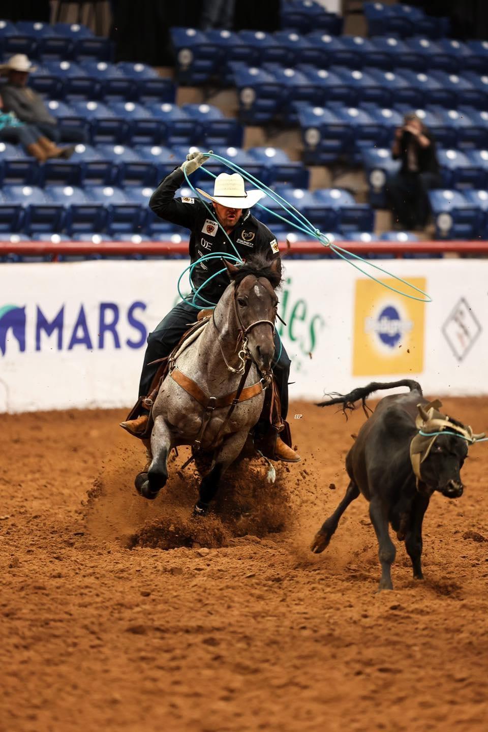 Pride And Joyy, bay roan roping stallion at Solo Select Horses — photo 9