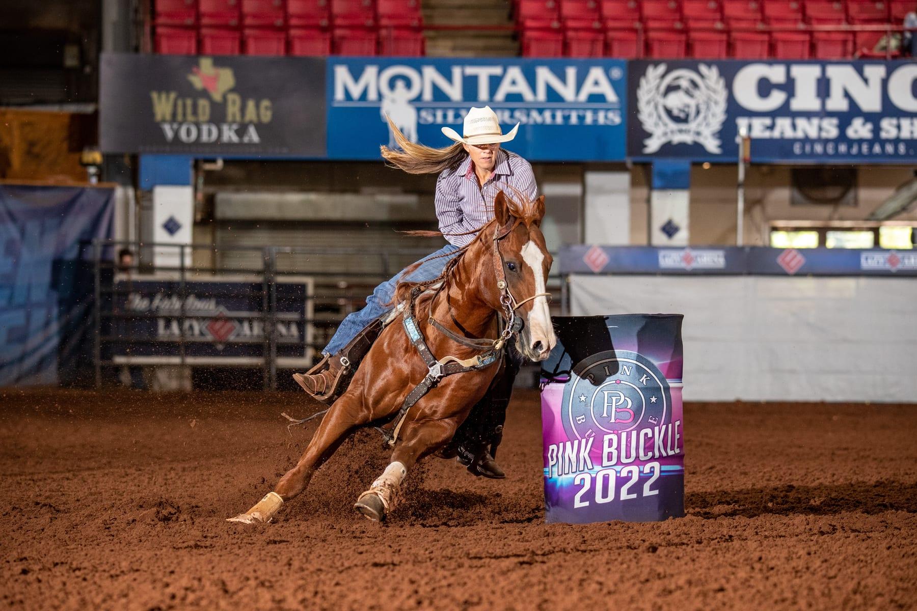 Sheik Jean Fly HTT, sorrel barrel racing stallion at Solo Select Horses — photo 3