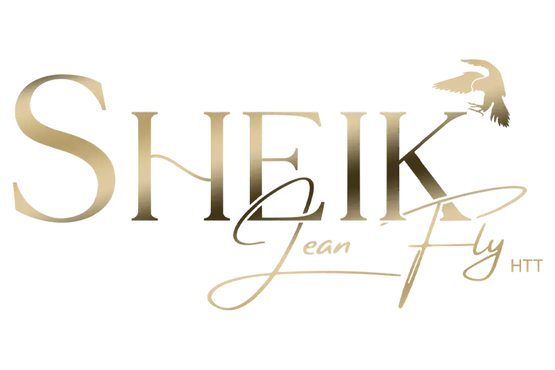 Sheik Jean Fly HTT — Solo Select Horses stallion logo