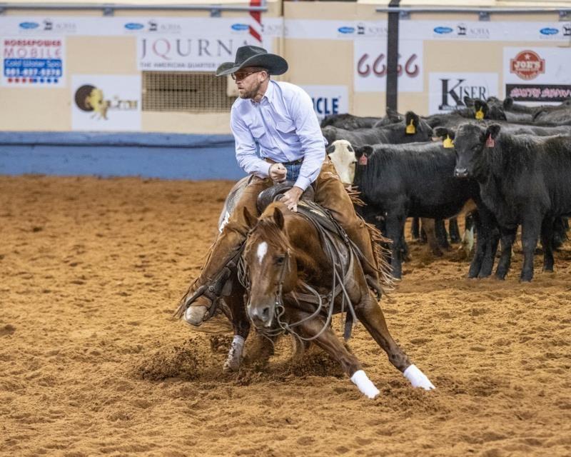 The Animal, sorrel cutting stallion at Solo Select Horses — photo 1