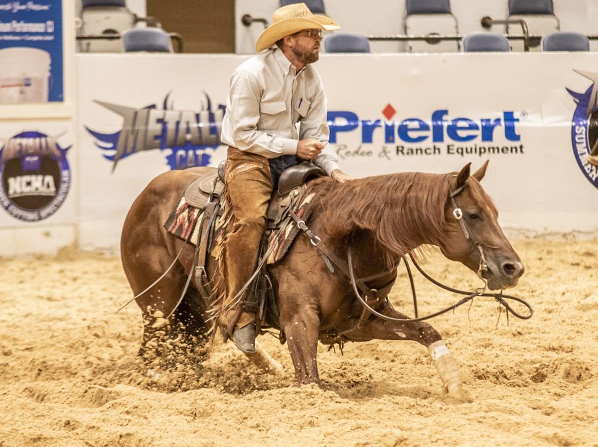 The Animal, sorrel cutting stallion at Solo Select Horses — photo 2
