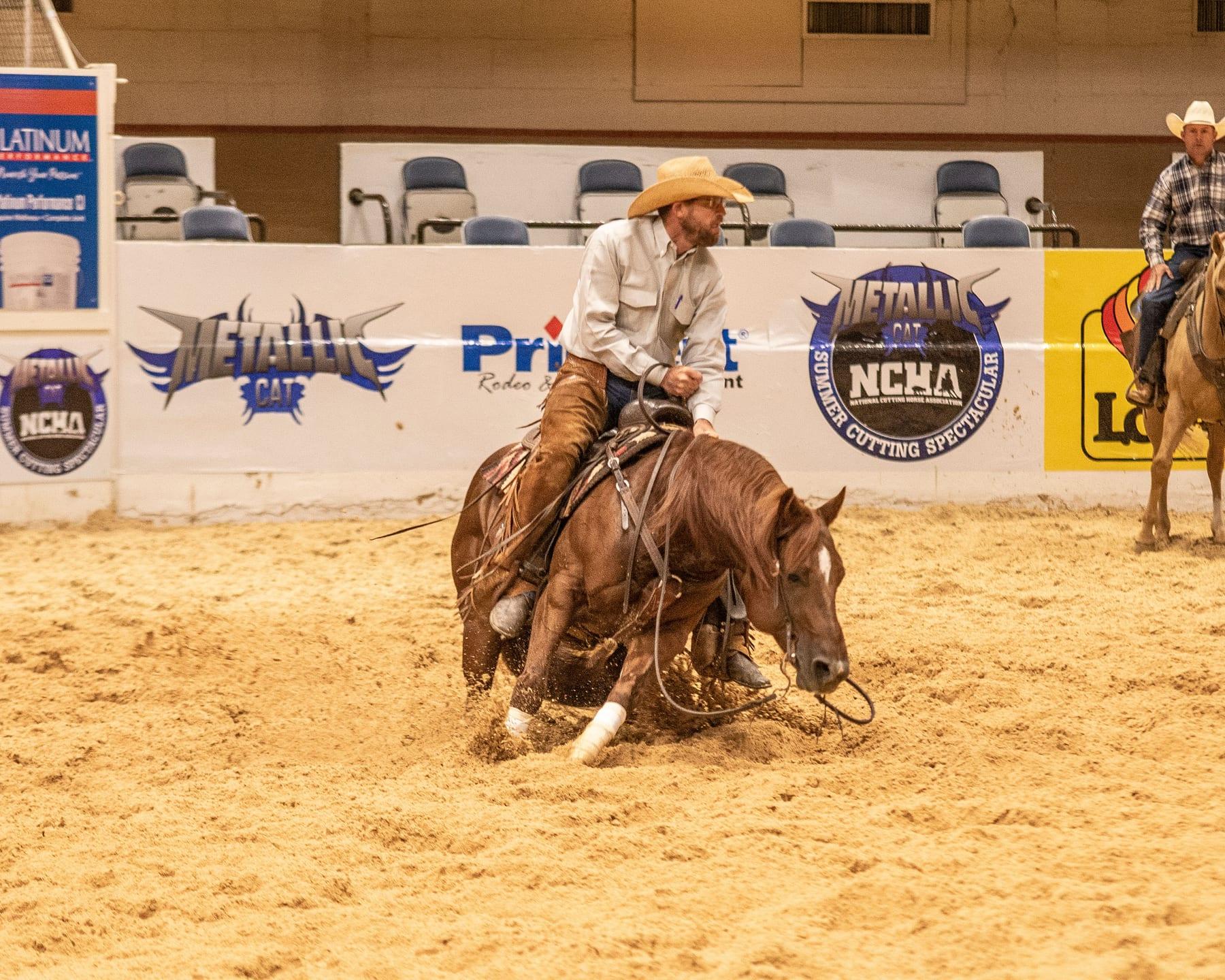 The Animal, sorrel cutting stallion at Solo Select Horses — photo 3