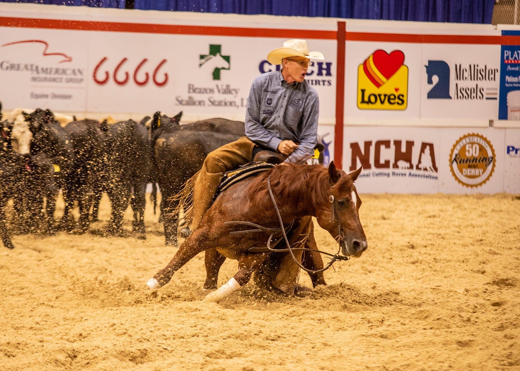 The Animal, sorrel cutting stallion at Solo Select Horses — photo 5