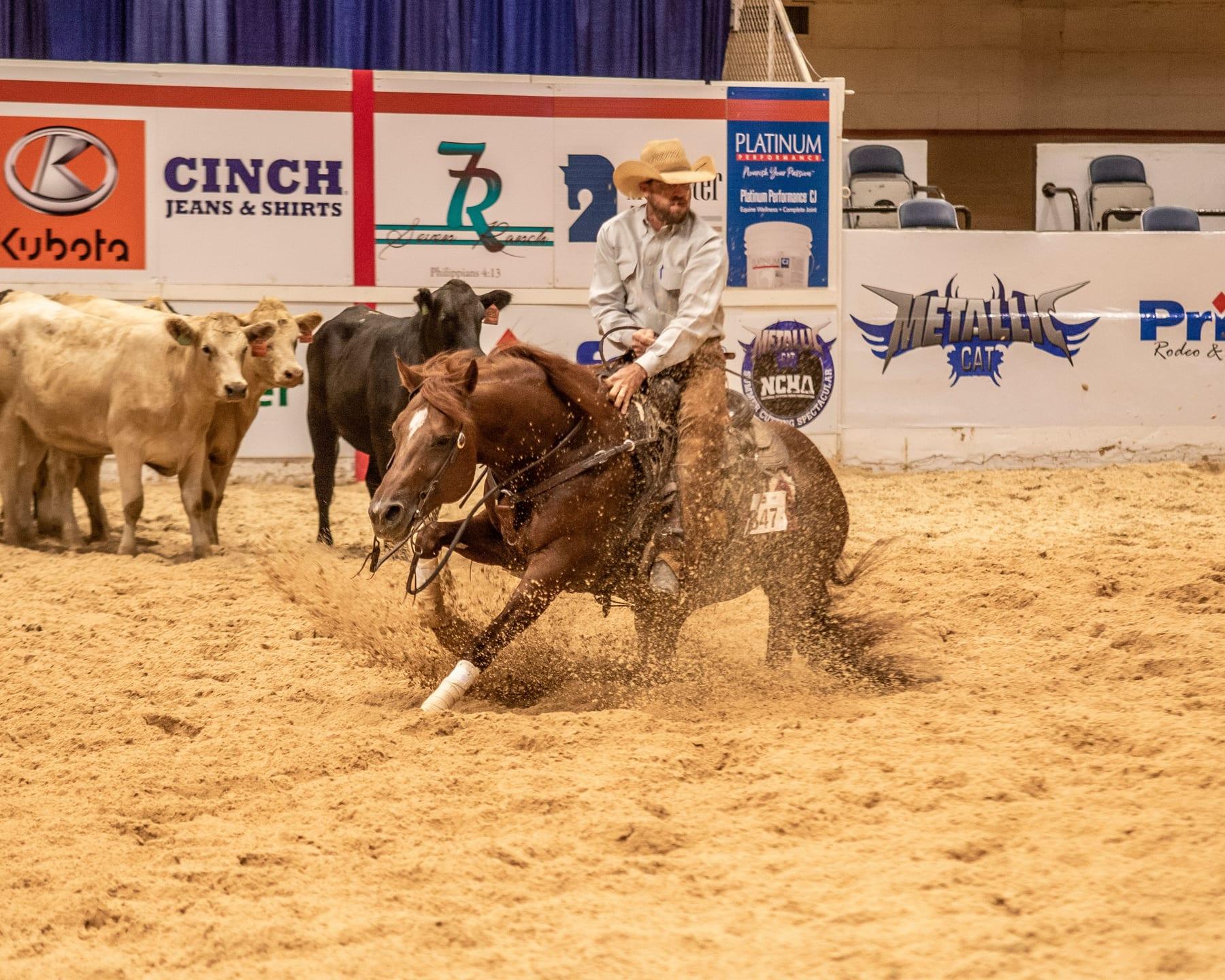 The Animal, sorrel cutting stallion at Solo Select Horses — photo 6
