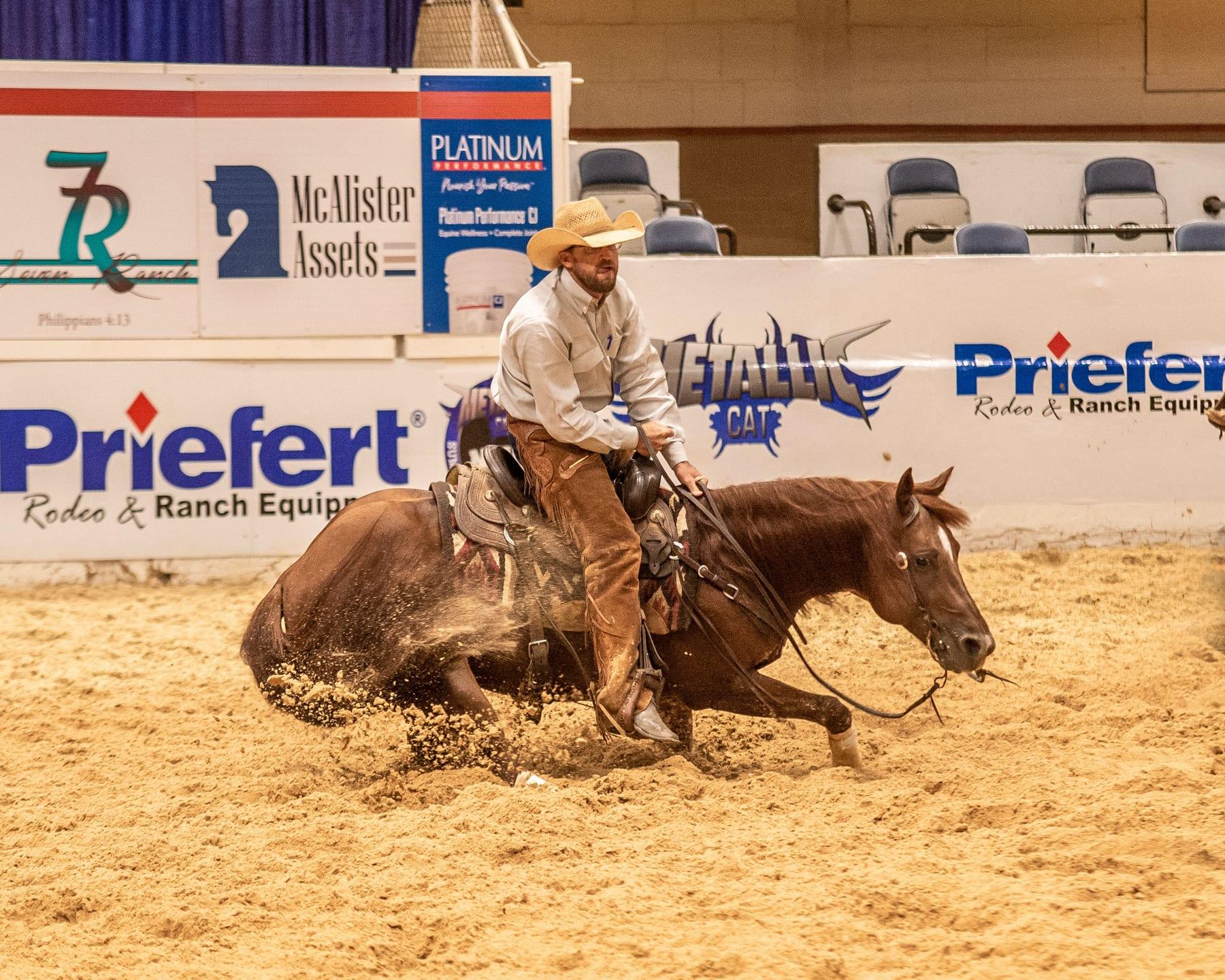 The Animal, sorrel cutting stallion at Solo Select Horses — photo 7
