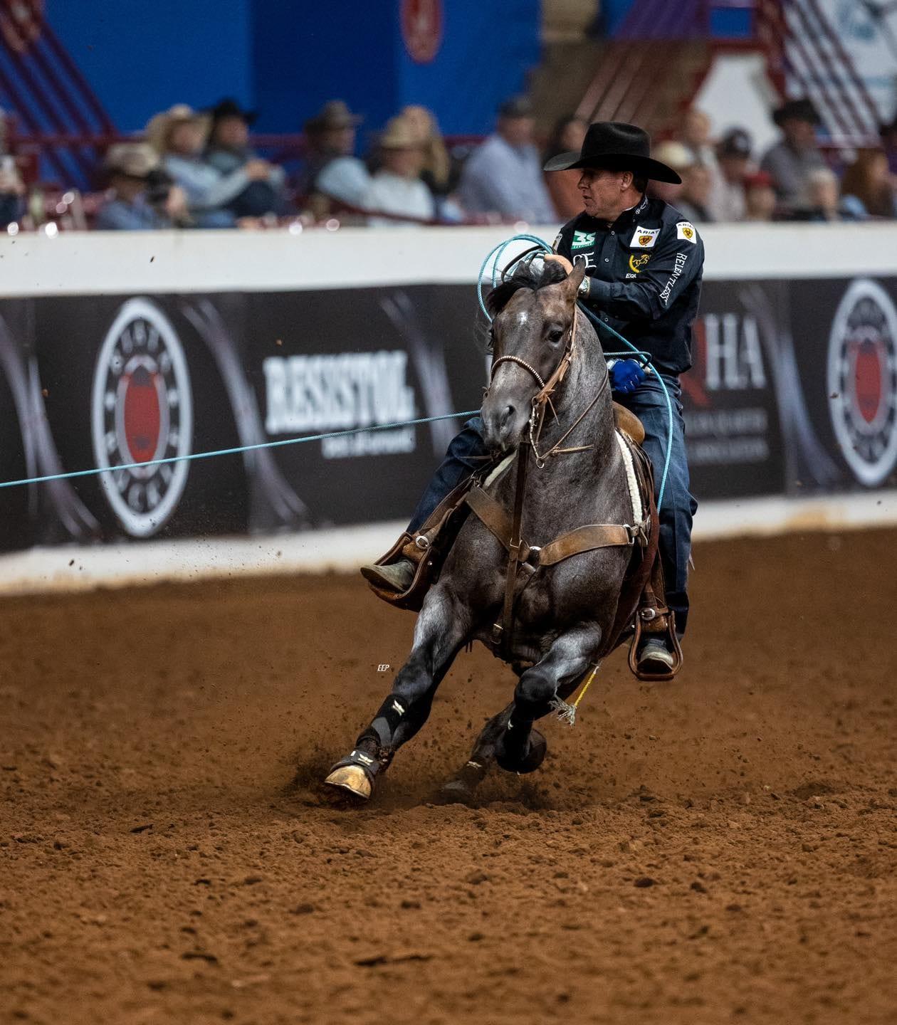 The Darkk Side, bay roan roping stallion at Solo Select Horses — photo 1