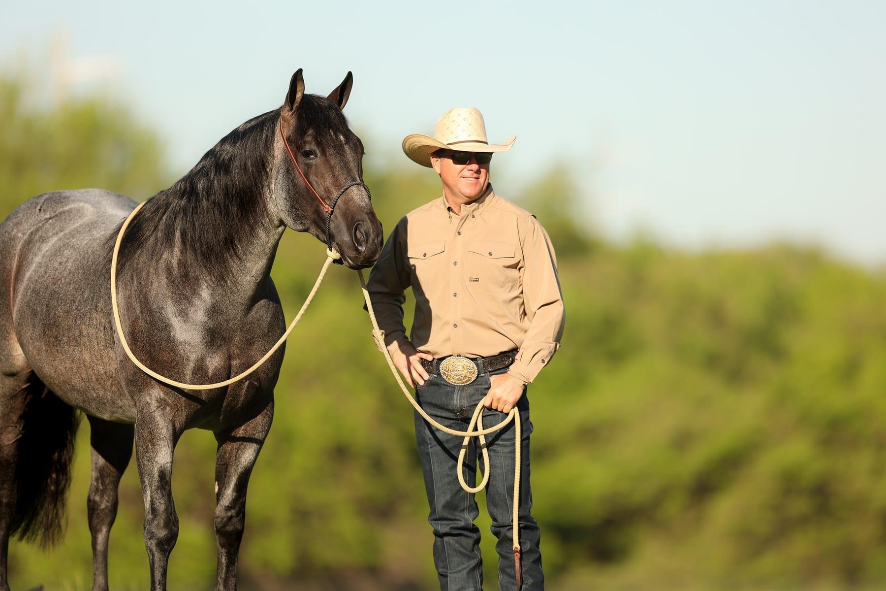 The Darkk Side, bay roan roping stallion at Solo Select Horses — photo 12