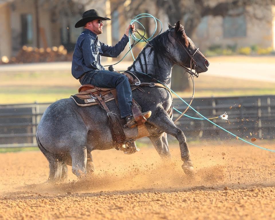 The Darkk Side, bay roan roping stallion at Solo Select Horses — photo 2