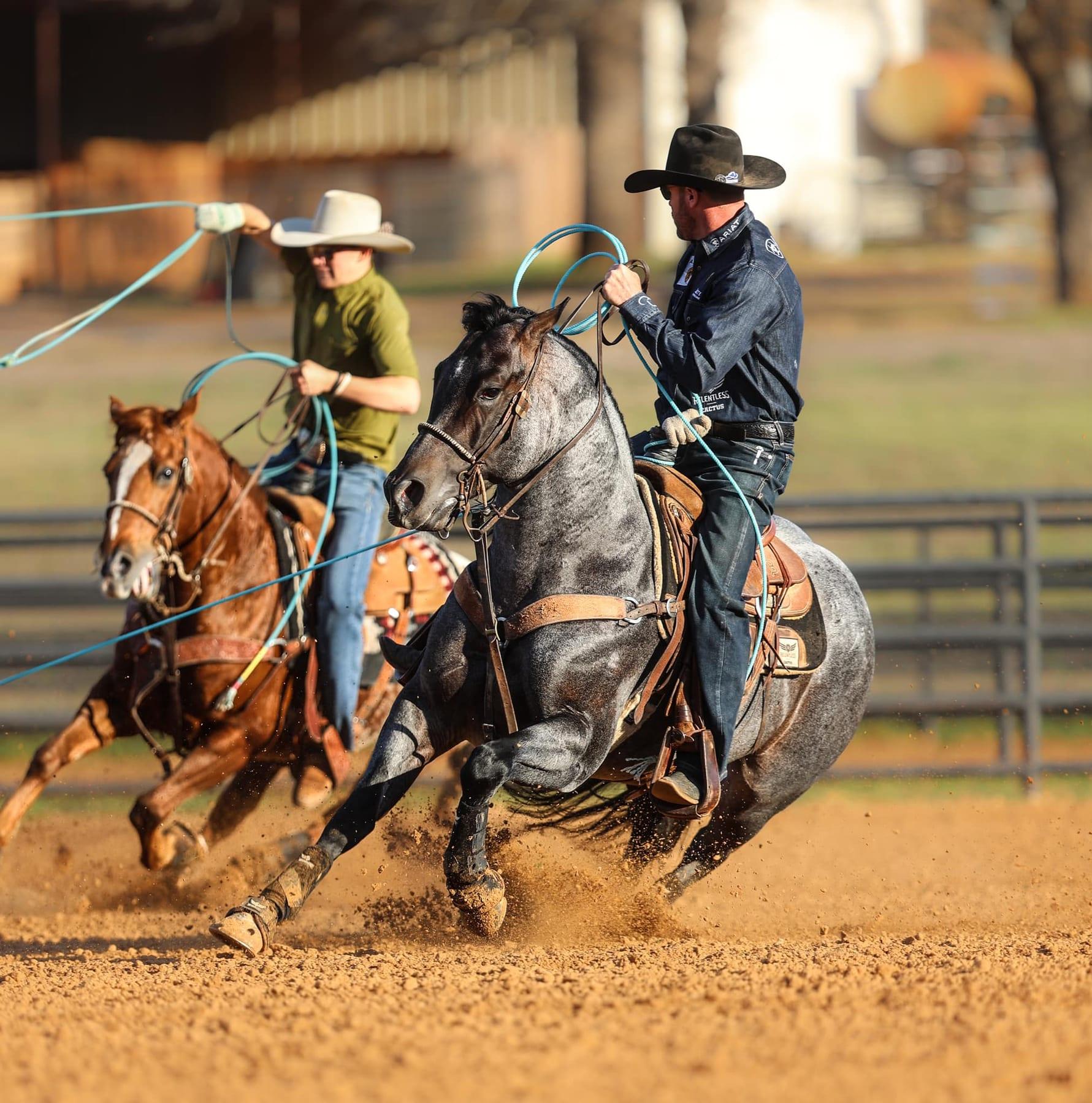 The Darkk Side, bay roan roping stallion at Solo Select Horses — photo 4