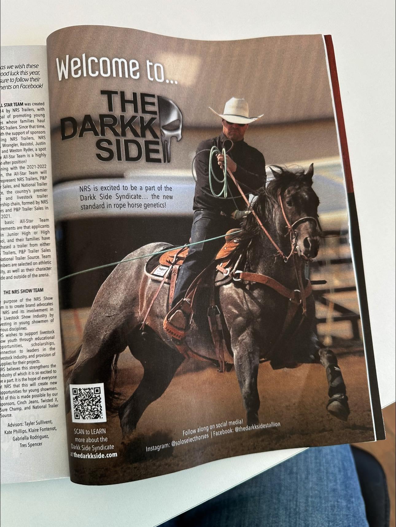 The Darkk Side, bay roan roping stallion at Solo Select Horses — photo 5