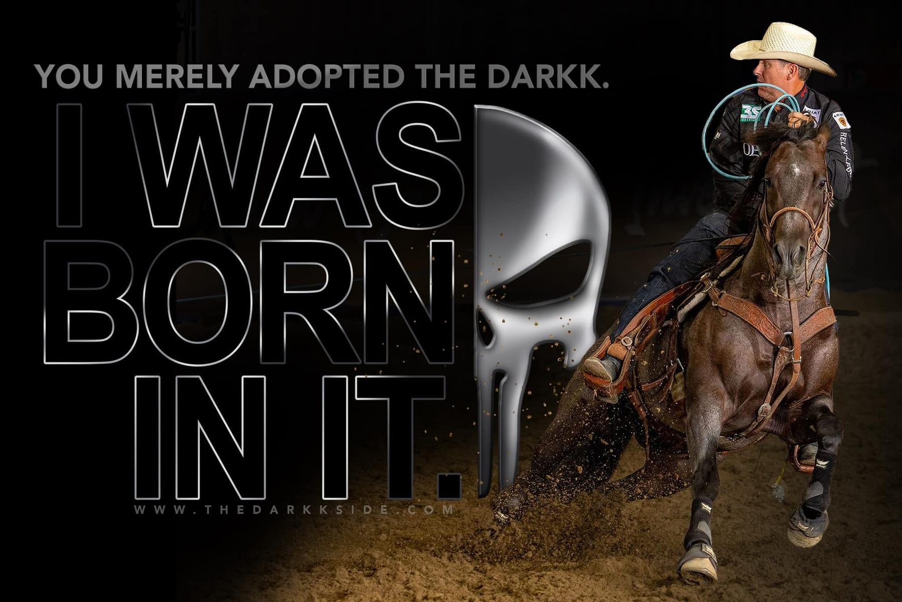 The Darkk Side, bay roan roping stallion at Solo Select Horses — photo 6