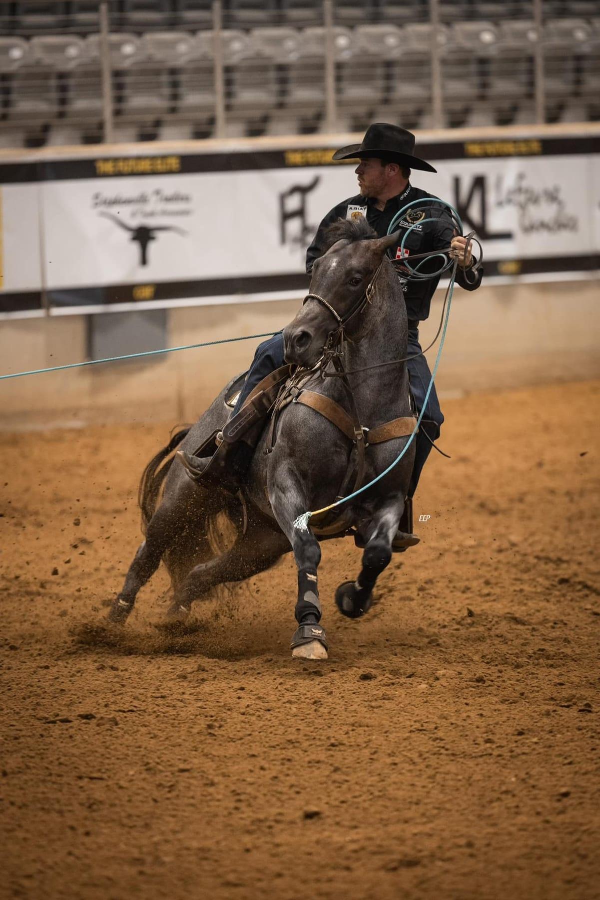 The Darkk Side, bay roan roping stallion at Solo Select Horses — photo 7