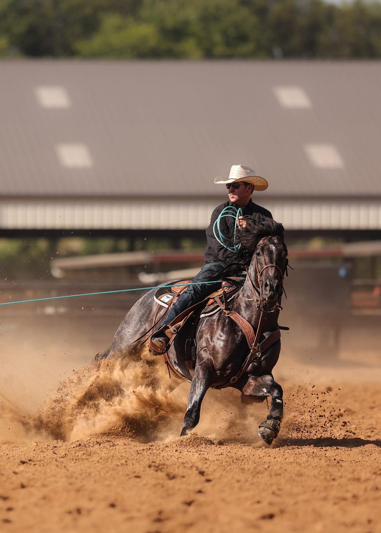The Darkk Side, bay roan roping stallion at Solo Select Horses — photo 8