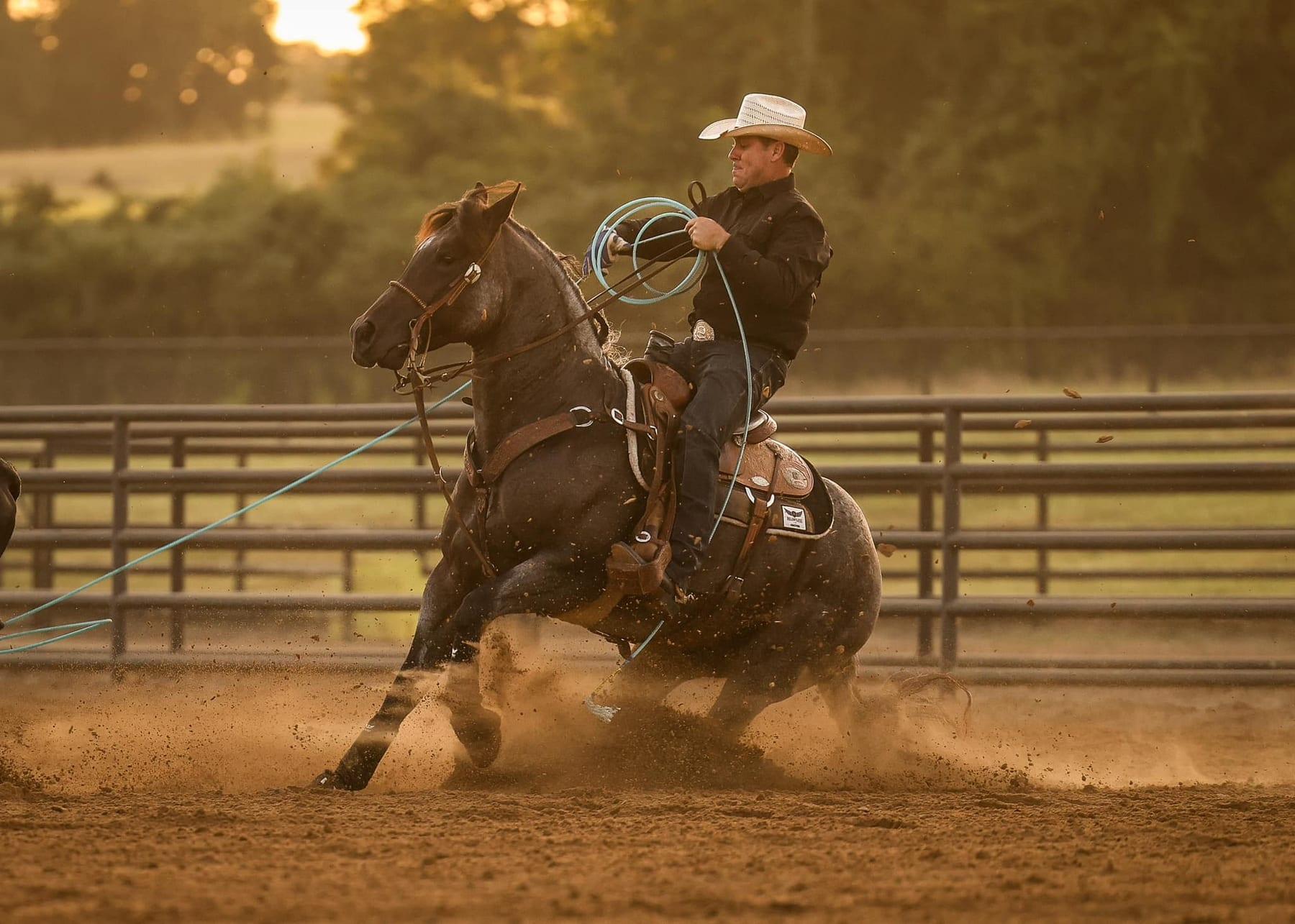 The Darkk Side, bay roan roping stallion at Solo Select Horses — photo 9