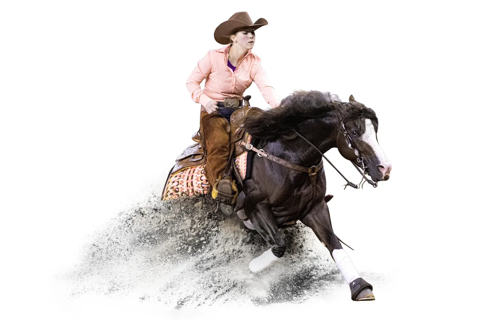 The Firemen, a 2021 sorrel reining breeding stallion, by Inferno Sixty Six standing at Solo Select Horses