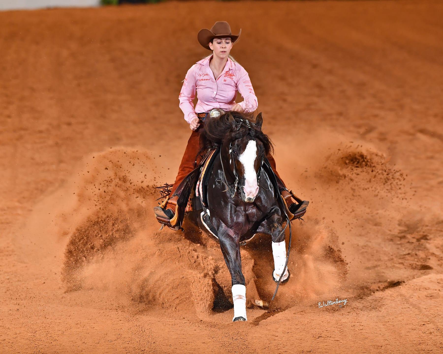 The Firemen, sorrel reining stallion at Solo Select Horses — photo 11