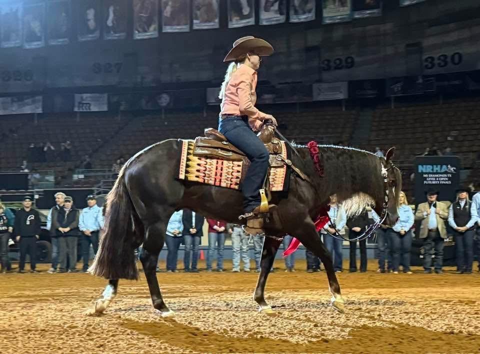 The Firemen, sorrel reining stallion at Solo Select Horses — photo 13