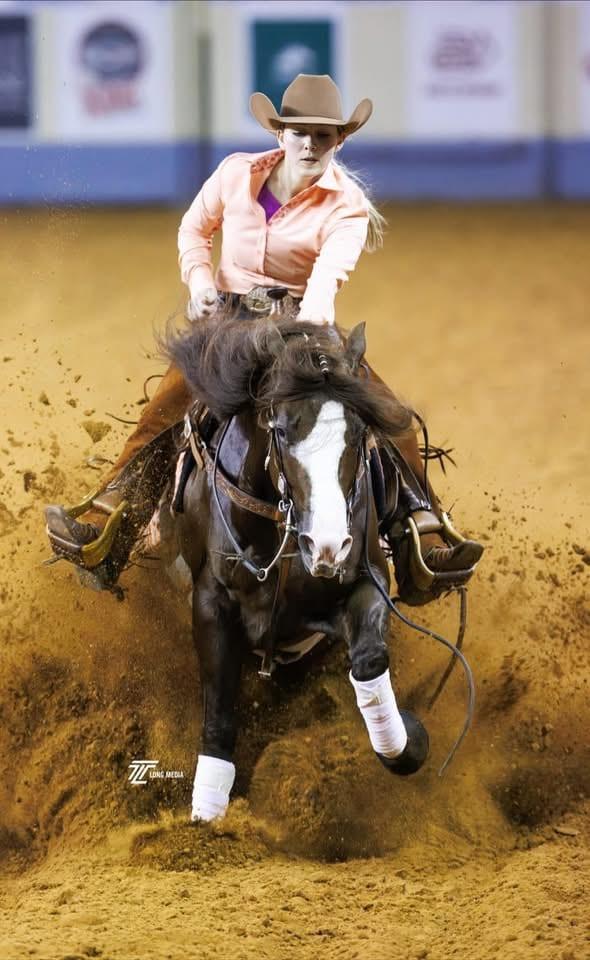The Firemen, sorrel reining stallion at Solo Select Horses — photo 17