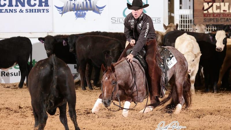Third Edge, red roan cutting stallion at Solo Select Horses — photo 1
