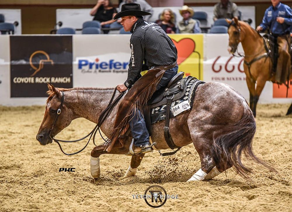Third Edge, red roan cutting stallion at Solo Select Horses — photo 4