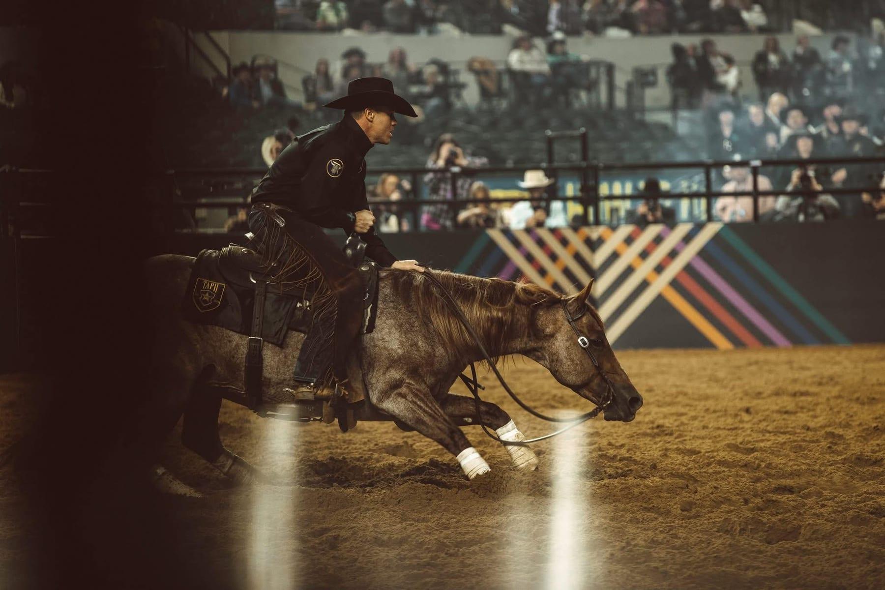 Third Edge, red roan cutting stallion at Solo Select Horses — photo 8