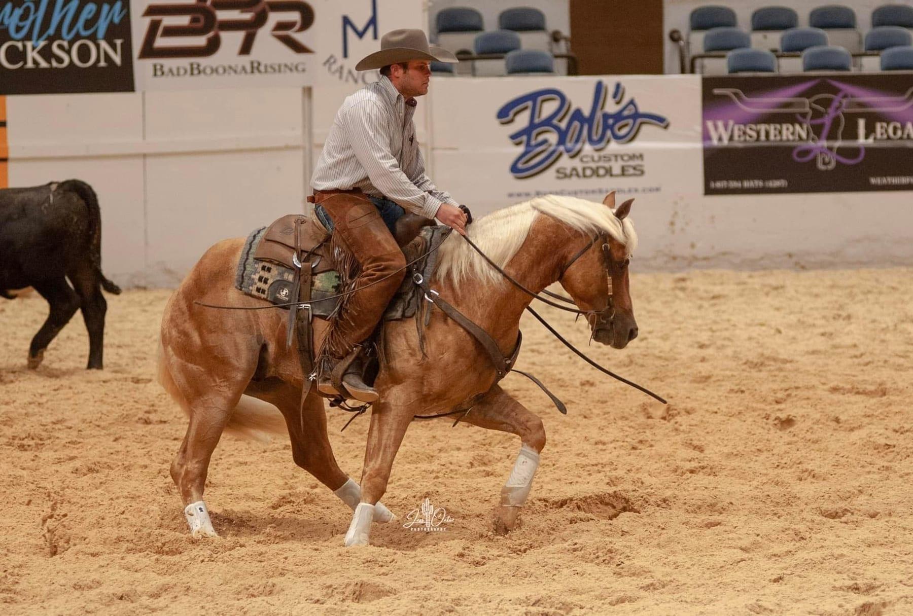 This Catt Shines, palomino roping stallion at Solo Select Horses — photo 3