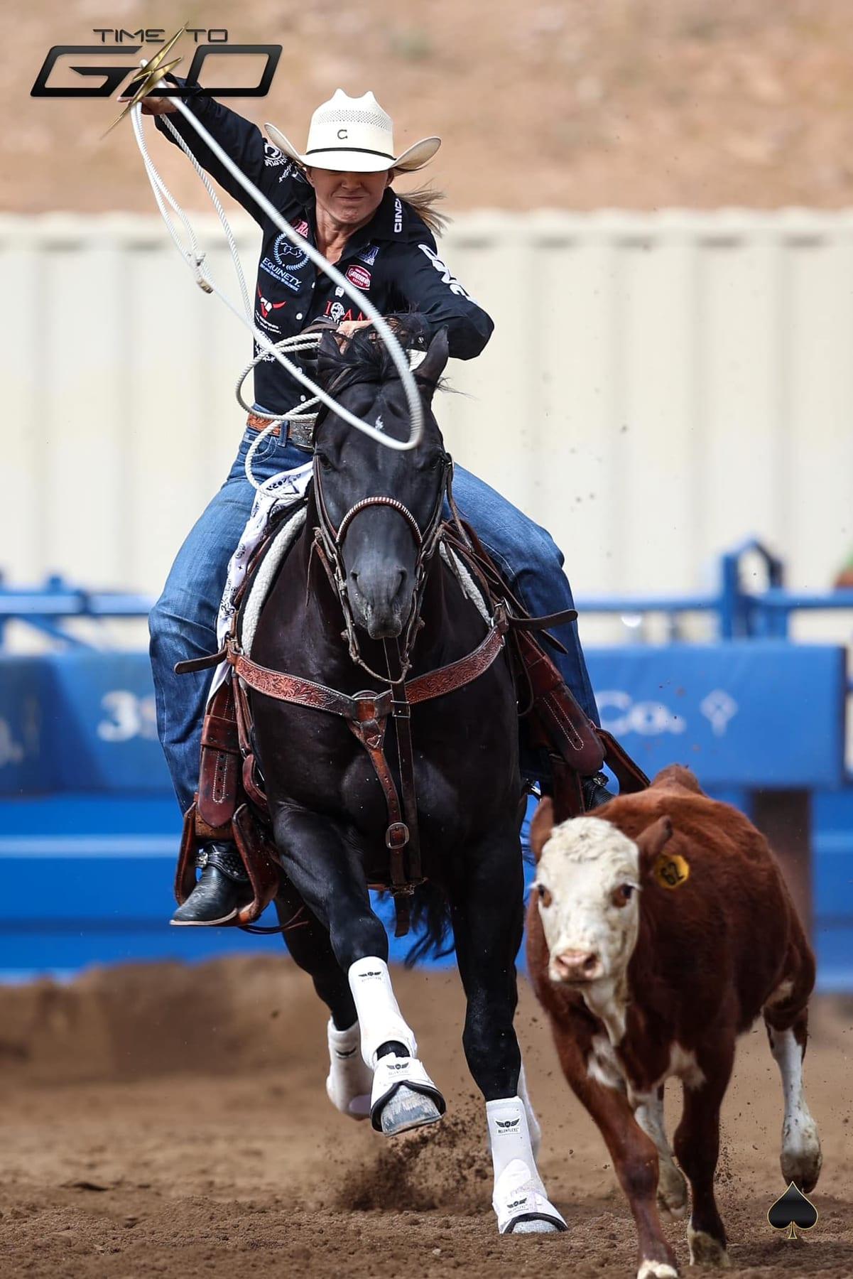 Time To Glo, black roping stallion at Solo Select Horses — photo 10