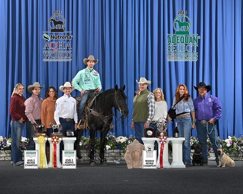 Time To Glo, black roping stallion at Solo Select Horses — photo 2