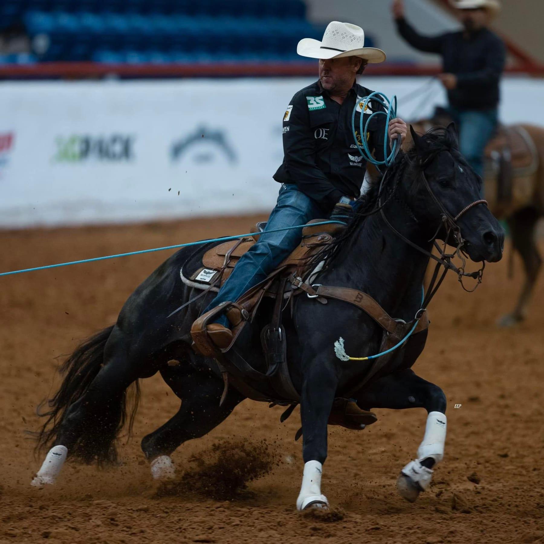 Time To Glo, black roping stallion at Solo Select Horses — photo 8