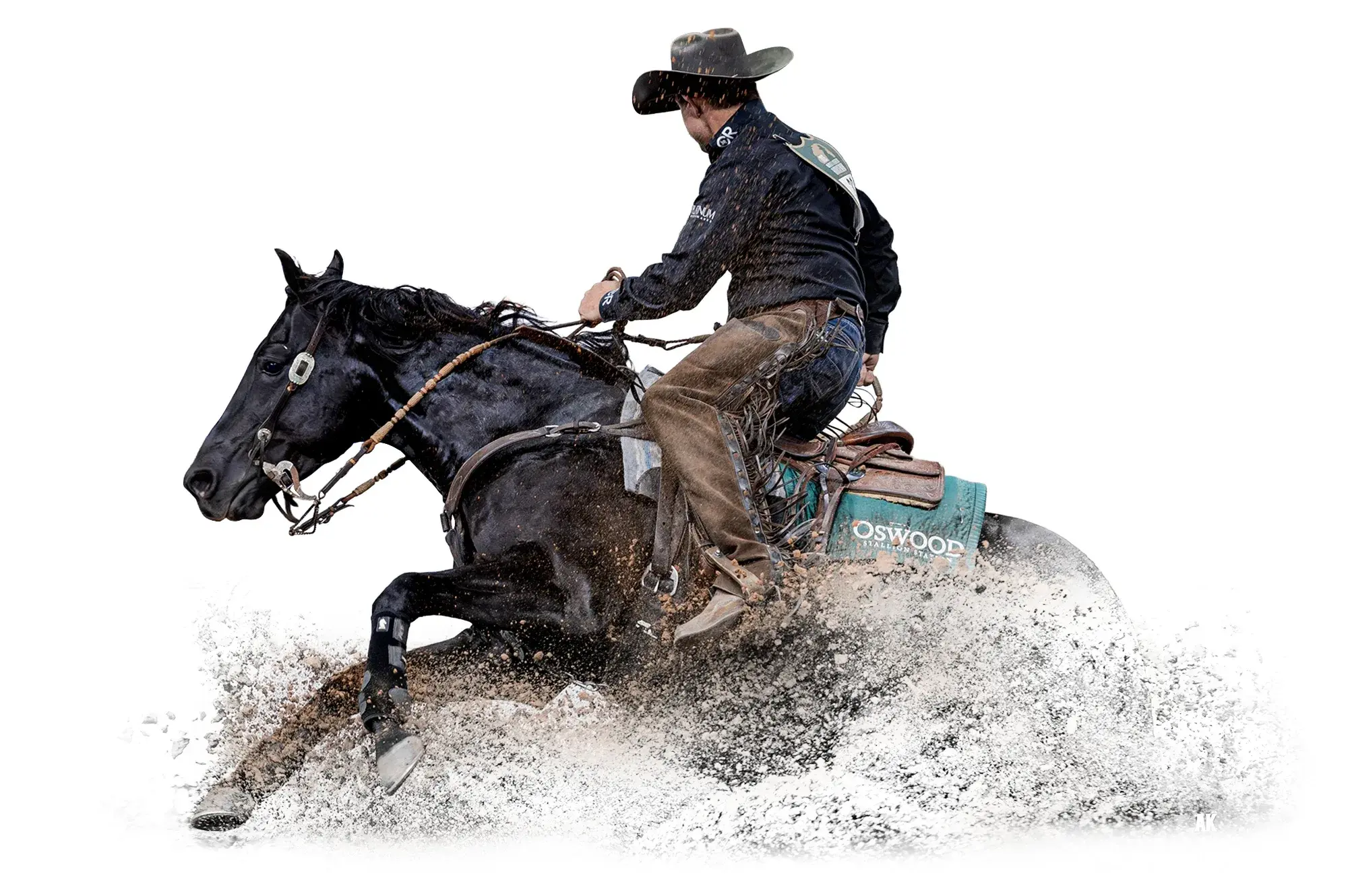 Zak 34, a 2018 black reined cow horse breeding stallion, by Woody Be Tuff standing at Solo Select Horses