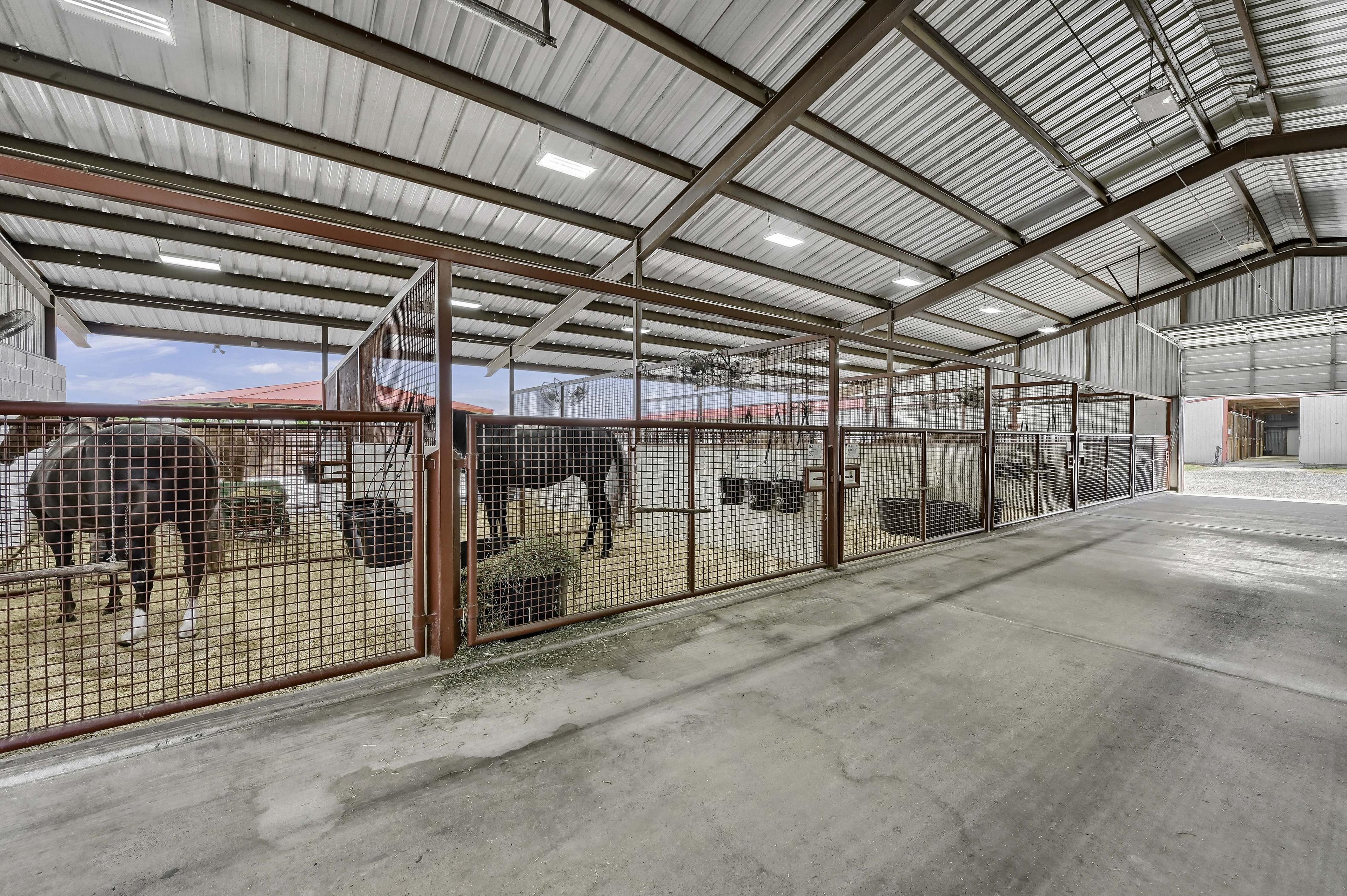 Mares in their stalls at Solo Select North