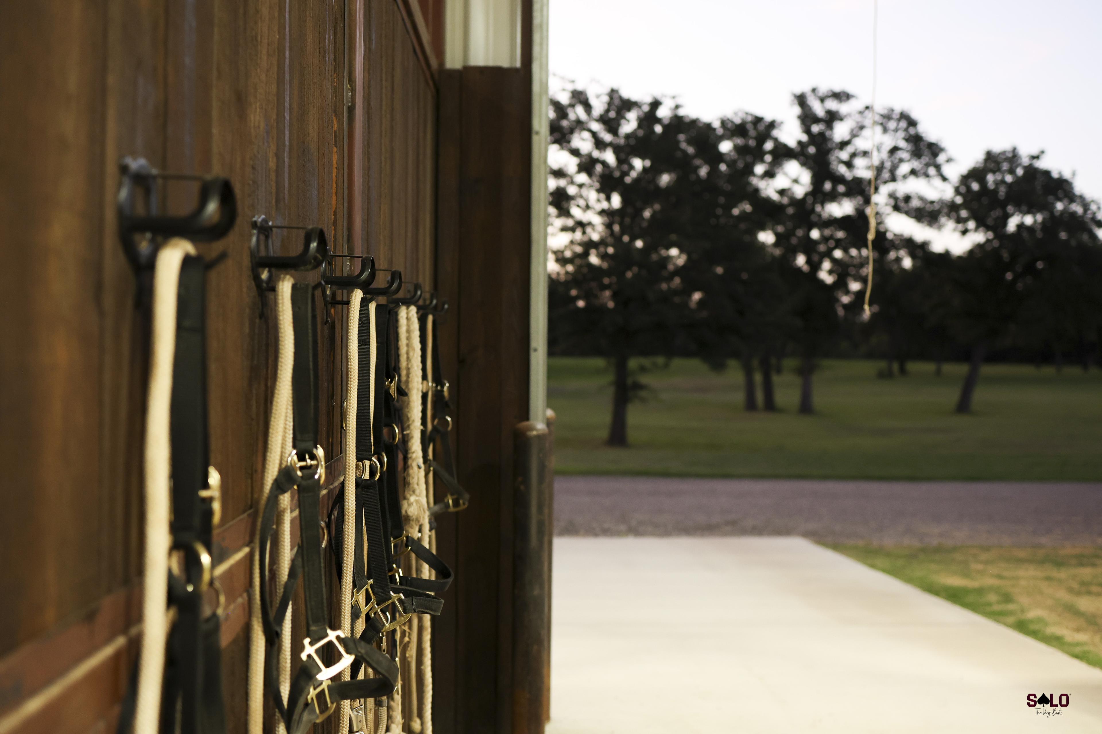 Halters and lead ropes hung at the barn door at dusk