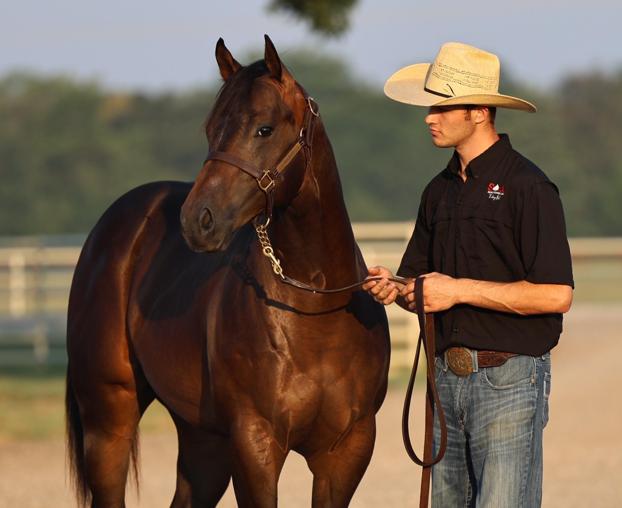 Solo Select Racing sale fitting