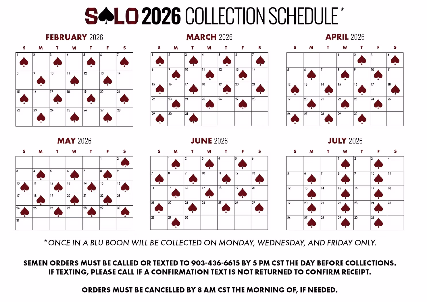 SOLO 2026 Collection Schedule — collection days marked February through July 2026. Once In A Blu Boon is collected on Monday, Wednesday, and Friday only. Semen orders must be called or texted to 903-436-6615 by 5 PM CST the day before collections; orders must be cancelled by 8 AM CST the morning of, if needed.