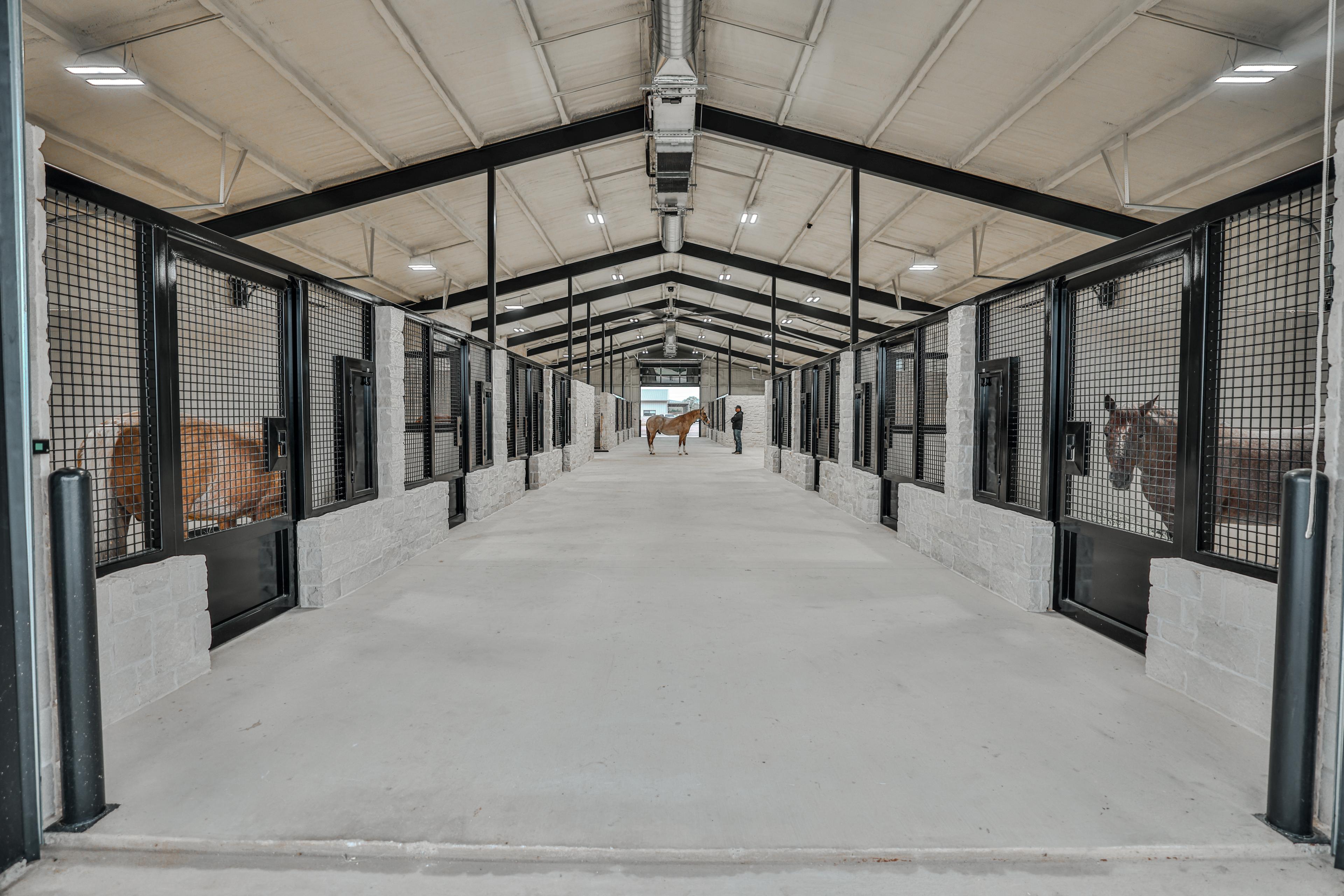 The climate-controlled stallion barn aisle at Solo Select Horses